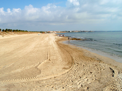 Pilar de la Horadada seeks permanent beach erosion solution