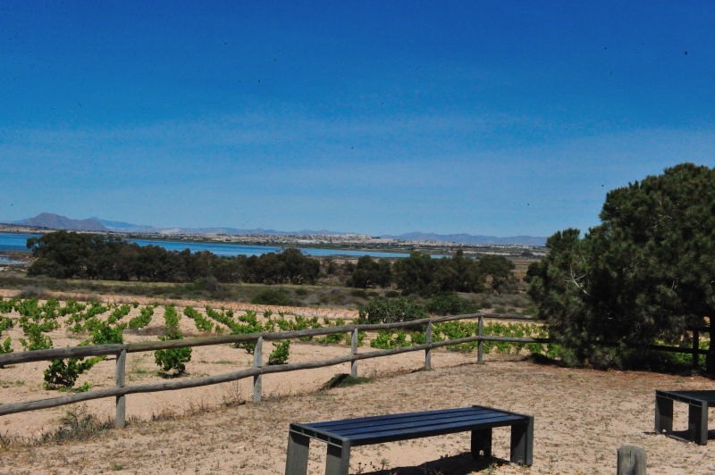 8th April 2017, El Gran Secreto de la Laguna, Guided Walk, Torrevieja