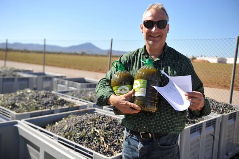 Liquid gold; harvesting autumn olives in Murcia