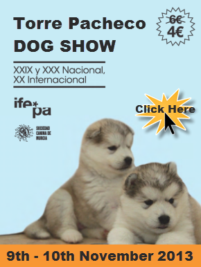 9th and 10th November, Torre Pacheco Dog Show