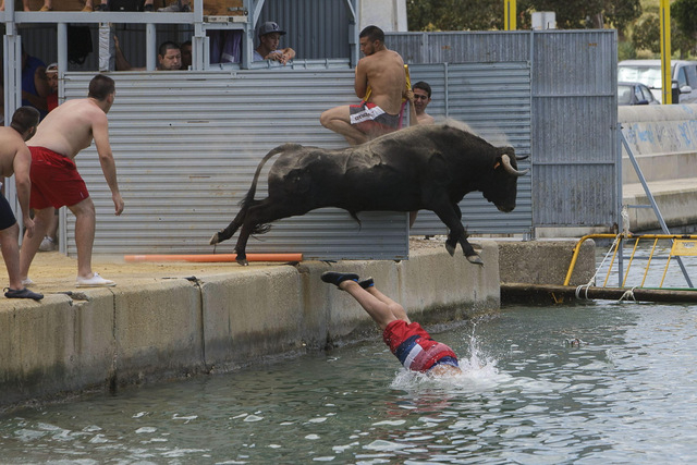 <span style='color:#780948'>ARCHIVED</span> - 60 year old gored in the groin during Bous a la Mar, Denia, Alicante