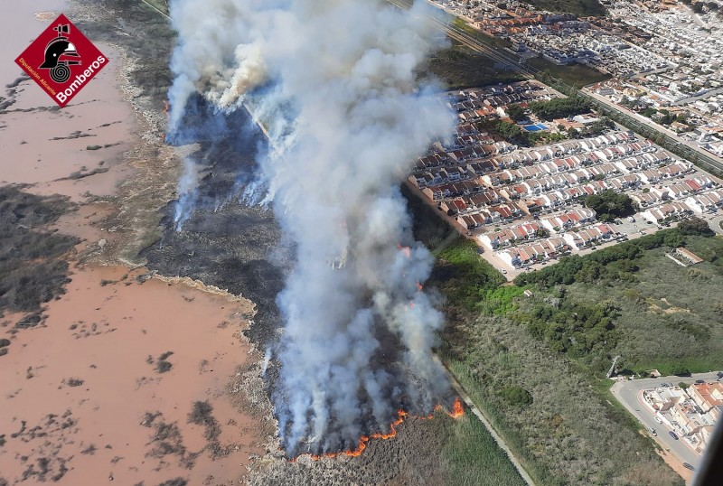 <span style='color:#780948'>ARCHIVED</span> - Guardia Civil investigation underway to clarify cause of fire in Torrevieja Lagunas de la Mata park