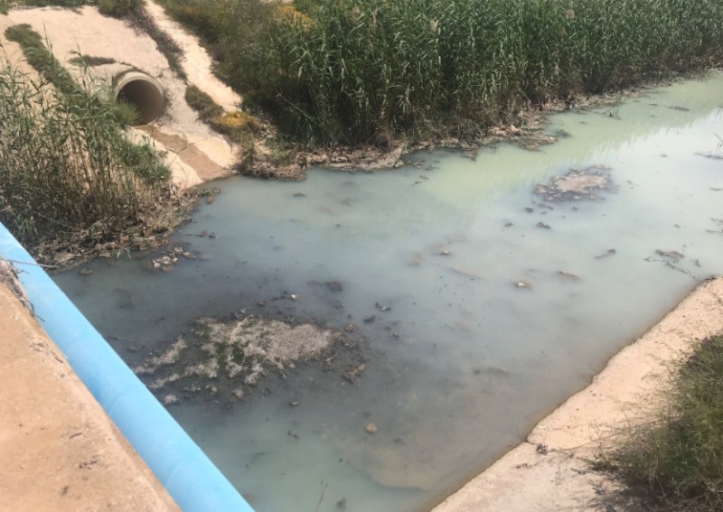 <span style='color:#780948'>ARCHIVED</span> - Murcia government faces lawsuit over failure to punish companies responsible for polluting the Mar Menor