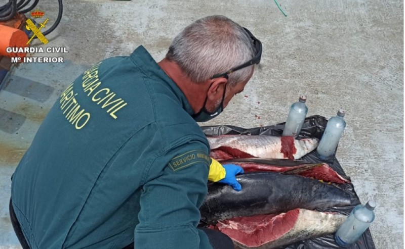 <span style='color:#780948'>ARCHIVED</span> - Rogue fishermen illegally reel in bluefin tuna off coast of Alicante province