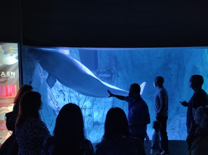 <span style='color:#780948'>ARCHIVED</span> - Teachers visit Oceanografic Valencia to bring the marine world to classrooms