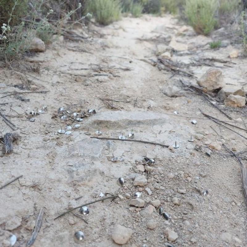 <span style='color:#780948'>ARCHIVED</span> - Warning to cyclists after popular route is sabotaged in Orihuela