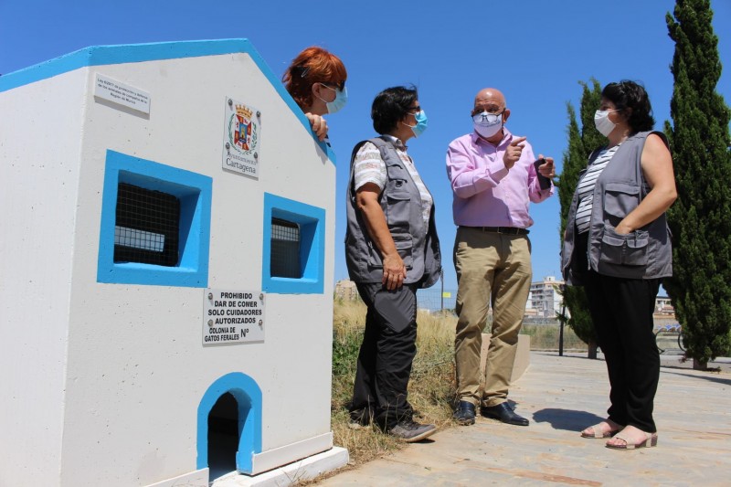 <span style='color:#780948'>ARCHIVED</span> - New cat houses for ferals installed in Islas Menores and the Archaeological Park of Molinete