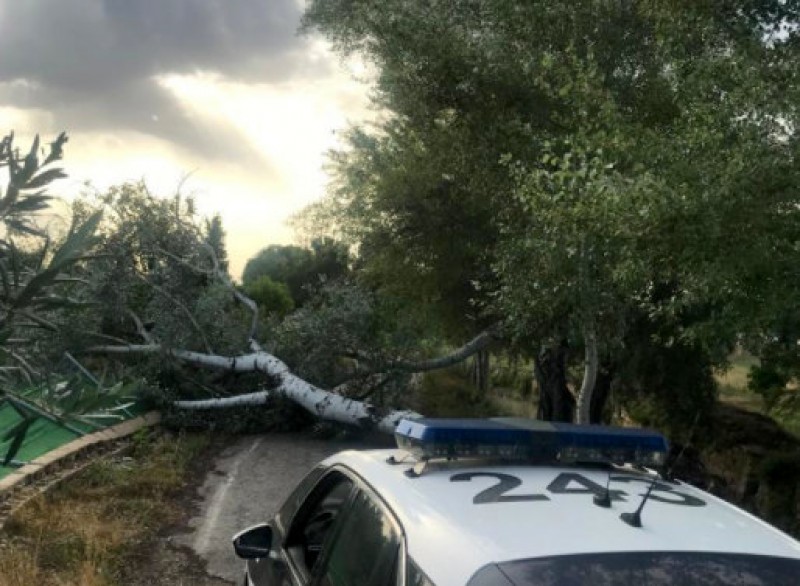 <span style='color:#780948'>ARCHIVED</span> - Heavy thunderstorm brings localized flooding to much of Murcia