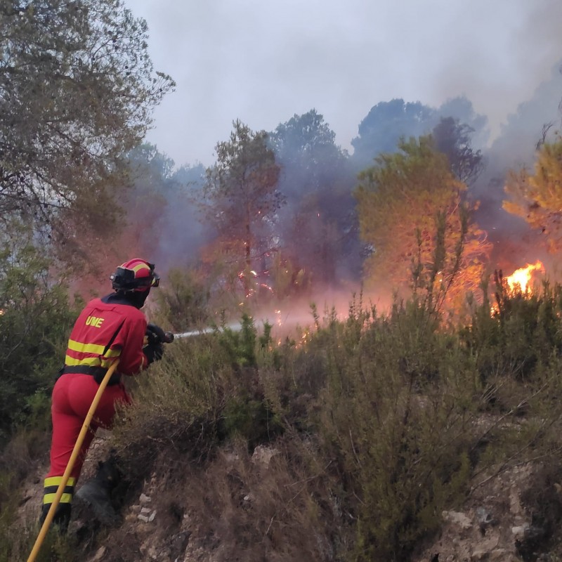 <span style='color:#780948'>ARCHIVED</span> - Lightning bolt causes 500-hectare forest fire in Castellon