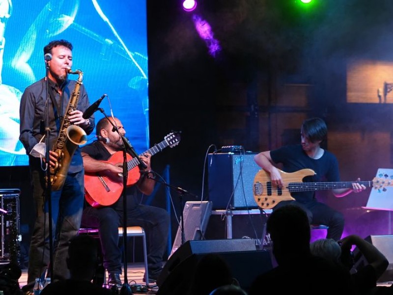 <span style='color:#780948'>ARCHIVED</span> - Rojales hosts its 14th Music Without Borders festival: November 5 to December 3