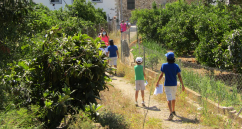 <span style='color:#780948'>ARCHIVED</span> - Thousands invested in Altea allotments