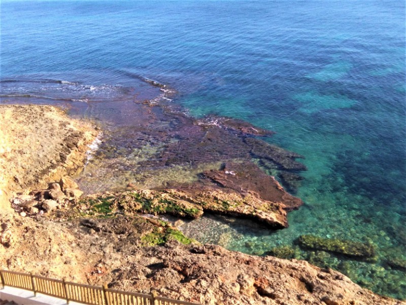 <span style='color:#780948'>ARCHIVED</span> - Latest measurements show excellent quality of water off Orihuela coast