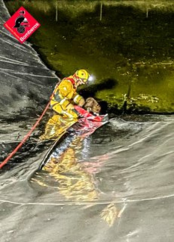 <span style='color:#780948'>ARCHIVED</span> - Hero firefighters save trapped Orihuela dog from drowning in pitch black conditions