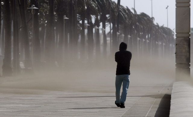 ! Alicante Today - Gale Force Winds Cause Damage Throughout Valencia ...