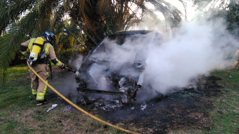 <span style='color:#780948'>ARCHIVED</span> - Car bursts into flames after colliding with palm tree in Mazarron