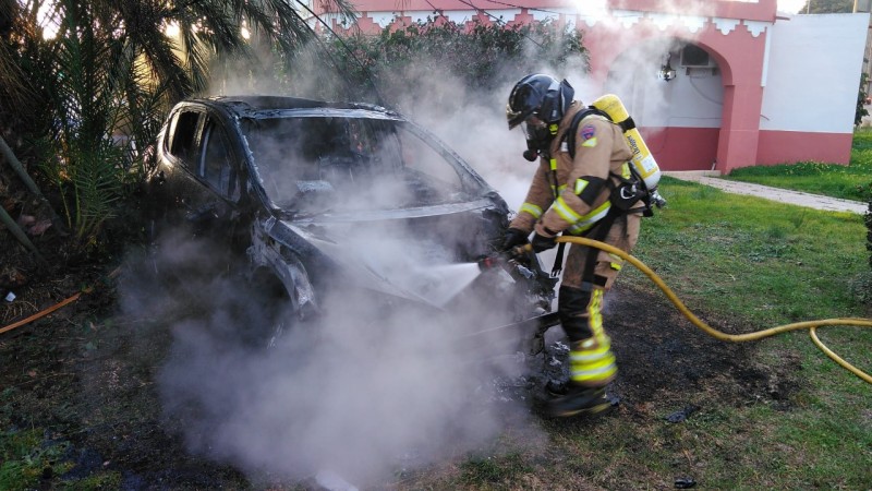 <span style='color:#780948'>ARCHIVED</span> - Car bursts into flames after colliding with palm tree in Mazarron