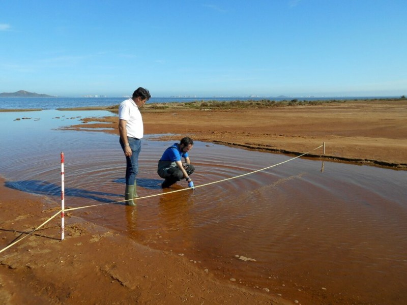 <span style='color:#780948'>ARCHIVED</span> - Unacceptable levels of chlorophyll entering the Mar Menor near Albujon