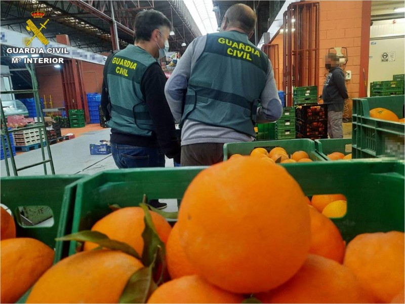 <span style='color:#780948'>ARCHIVED</span> - 20 tonnes of contaminated oranges from Egypt seized in Alicante
