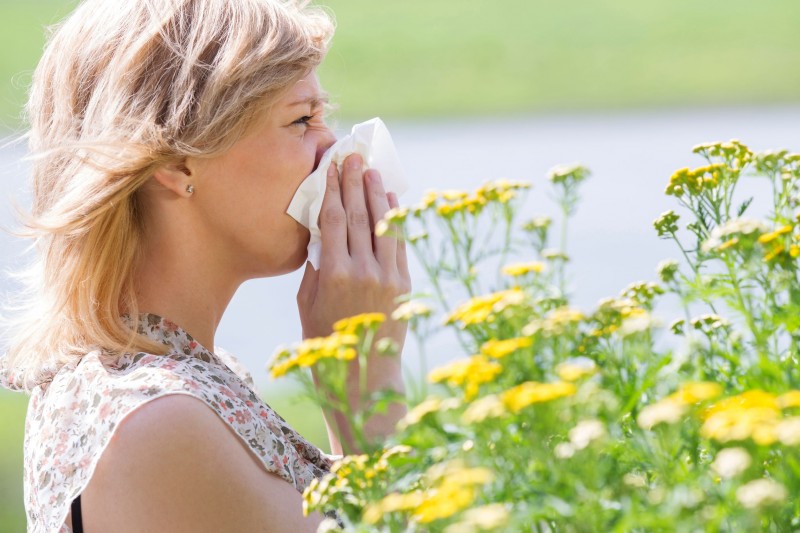 Hay fever and pollen allergies will be milder in Murcia and Alicante this spring