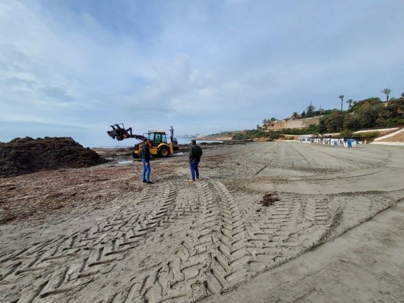 <span style='color:#780948'>ARCHIVED</span> - Orihuela Costa prepares its beaches for Easter Week
