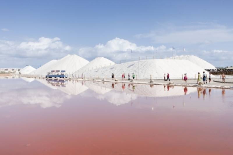 <span style='color:#780948'>ARCHIVED</span> - All aboard: Torrevieja Salt Lakes Tourist Train is back on track