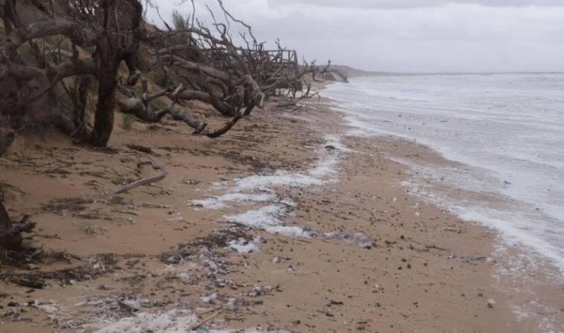 <span style='color:#780948'>ARCHIVED</span> - Alicante beaches decimated by storms unlikely to be repaired for Easter
