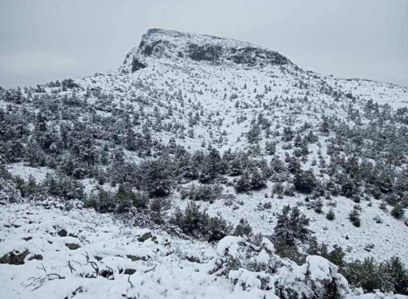 <span style='color:#780948'>ARCHIVED</span> - Spectacular images of the snow that blanketed Alicante