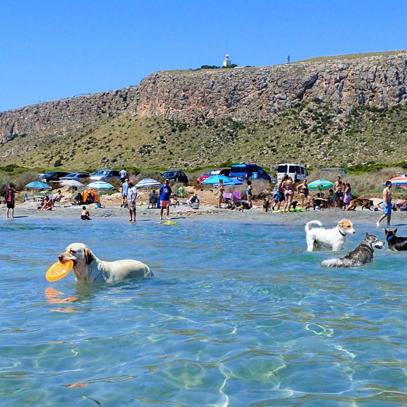 <span style='color:#780948'>ARCHIVED</span> - Costa Blanca promotes new image to attract tourists with pets