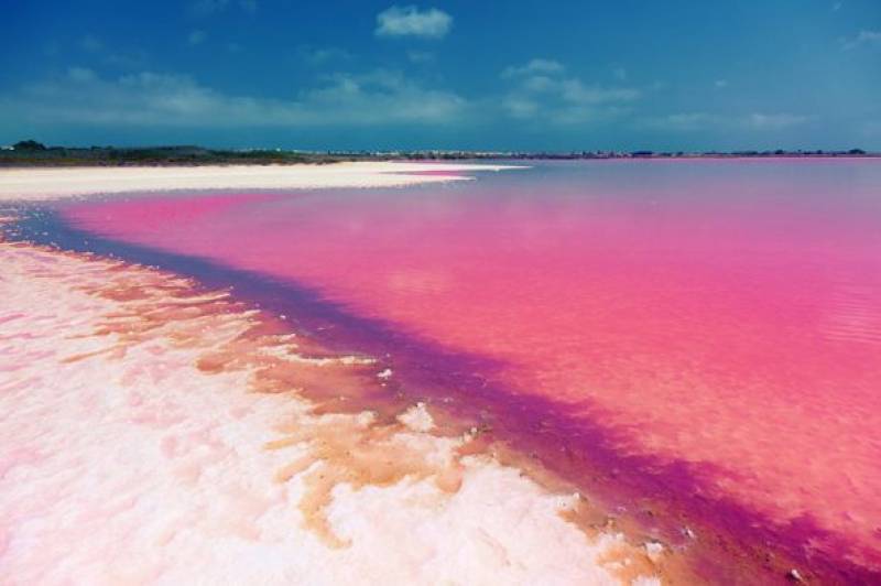 <span style='color:#780948'>ARCHIVED</span> - NASA shares stunning space image of pink lagoon in Torrevieja, Spain