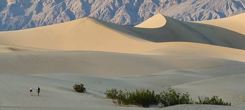 Regenerating beaches in Spain with Saharan sand could result in much ecological damage