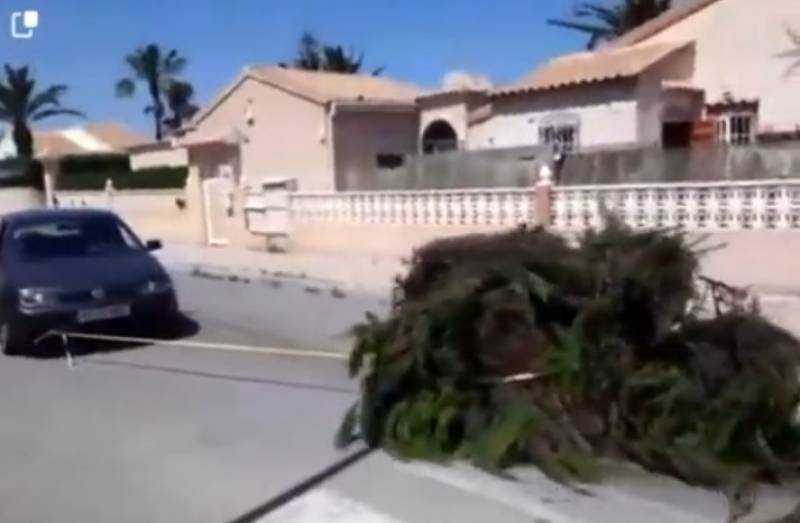<span style='color:#780948'>ARCHIVED</span> - WATCH: Bizarre clip of Orihuela Costa resident towing mound of garden waste and dumping it in the street