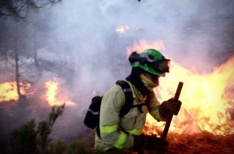 <span style='color:#780948'>ARCHIVED</span> - Greenpeace warns of increased risk of wildfires in Spain