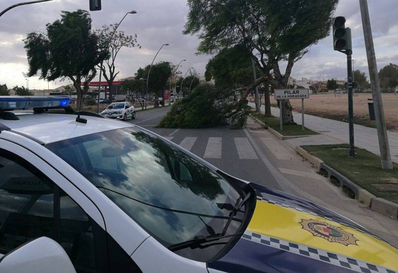<span style='color:#780948'>ARCHIVED</span> - Drunk driver six times over the limit ploughs into group of pedestrians in Pilar de Horadada