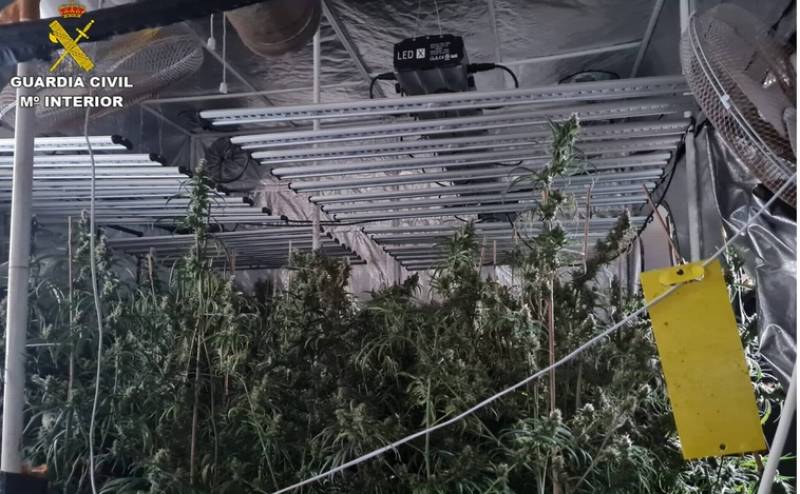 <span style='color:#780948'>ARCHIVED</span> - Expat caught with 255 marijuana plants after fire at his Alicante home