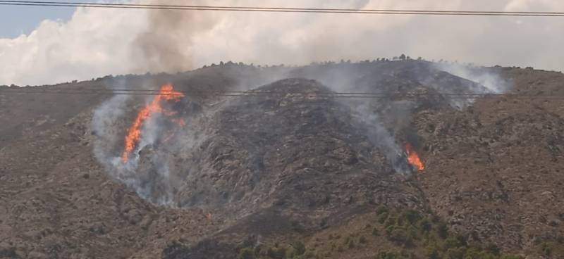 <span style='color:#780948'>ARCHIVED</span> - Wildfire in Petrer has been brought under control after destroying 100 hectares