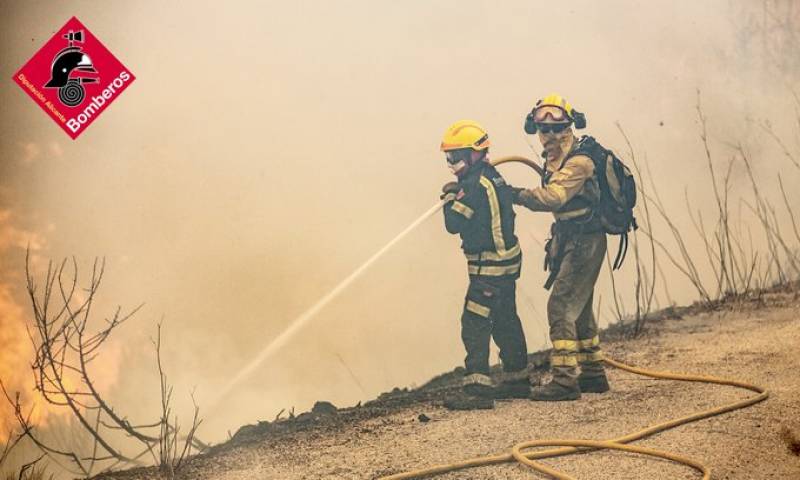<span style='color:#780948'>ARCHIVED</span> - Alicante wildfire brought under control: experts warn 12,000 razed hectares could take 30 years to regenerate