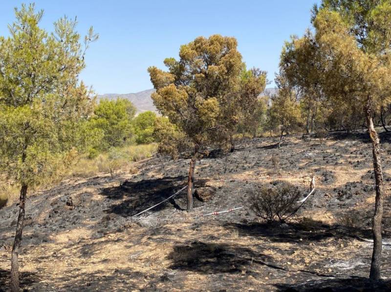 <span style='color:#780948'>ARCHIVED</span> - Lightning strike starts horrendous forest fire in Jumilla