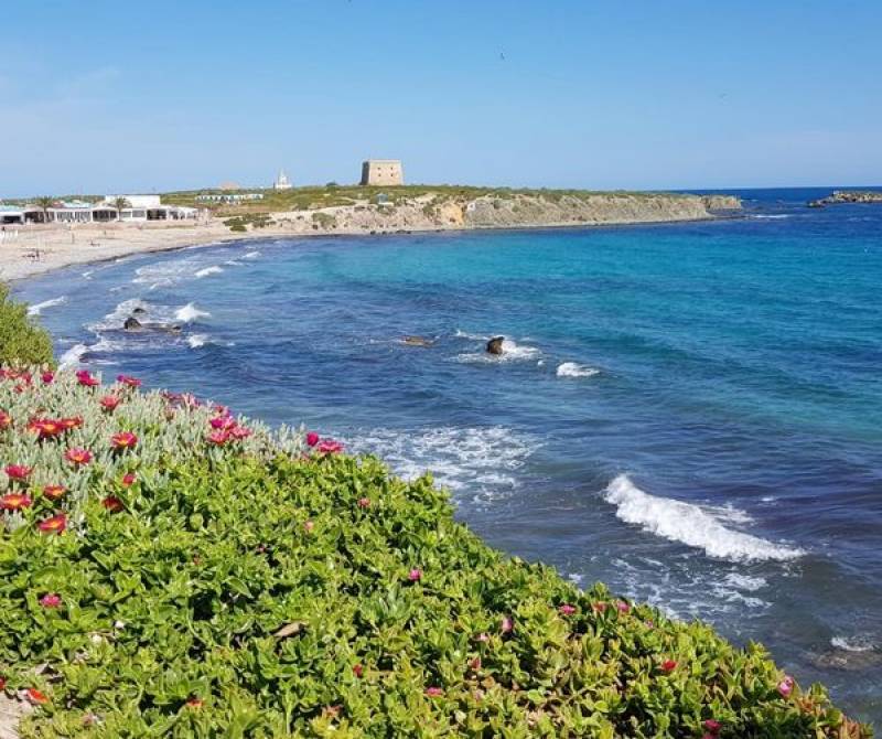Tabarca Island: alluring coves, spectacular scenery and a walled village