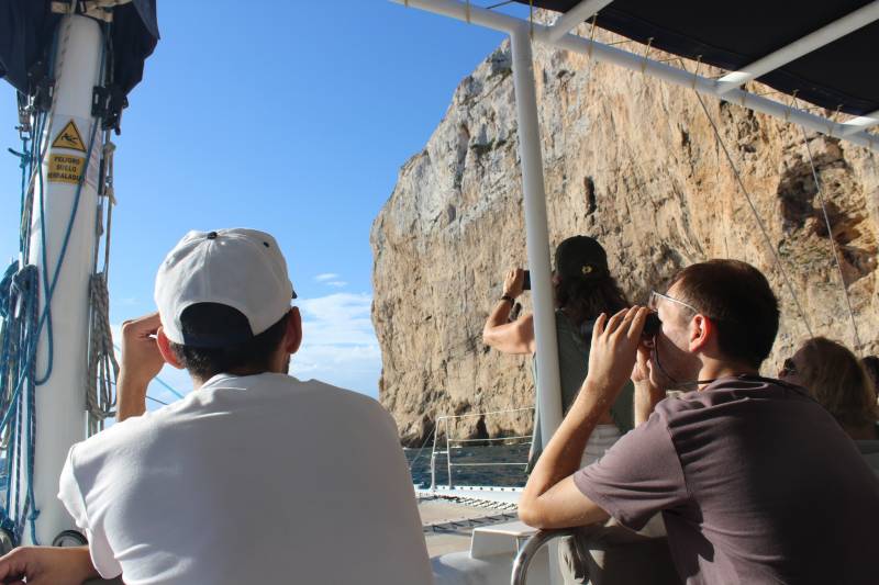 <span style='color:#780948'>ARCHIVED</span> - More than 90 finback whales sighted off Denia coast since May