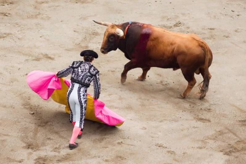 Murcia opposition party demands referendum to ban bullfighting in the capital