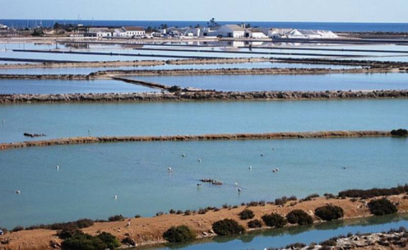 <span style='color:#780948'>ARCHIVED</span> - December 4 Life in the World of Salt, free guided tour IN ENGLISH of the salt flats of San Pedro del Pinatar