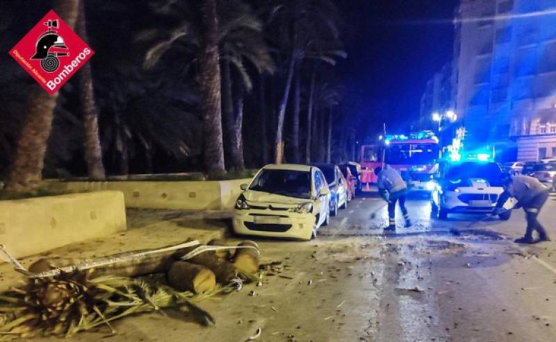 <span style='color:#780948'>ARCHIVED</span> - Strong winds down trees, awnings and walls wreaking havoc in Alicante province