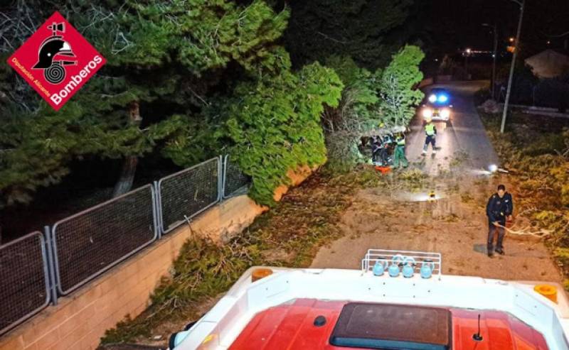 <span style='color:#780948'>ARCHIVED</span> - Strong winds down trees, awnings and walls wreaking havoc in Alicante province