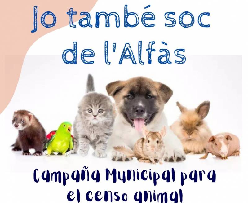 Live in Alfaz del Pi and have a pet? Make sure you have it registered, say the Town Hall...