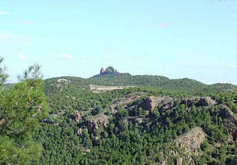 <span style='color:#780948'>ARCHIVED</span> - February 11 Guided walk in the Regional Park of El Valle y Carrascoy