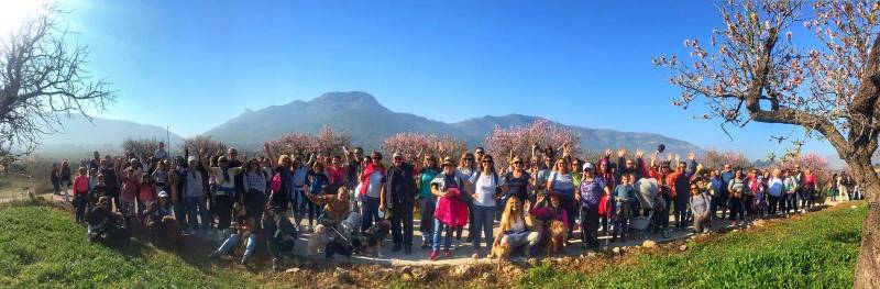 February 5 to 26 Alcalali in bloom festival