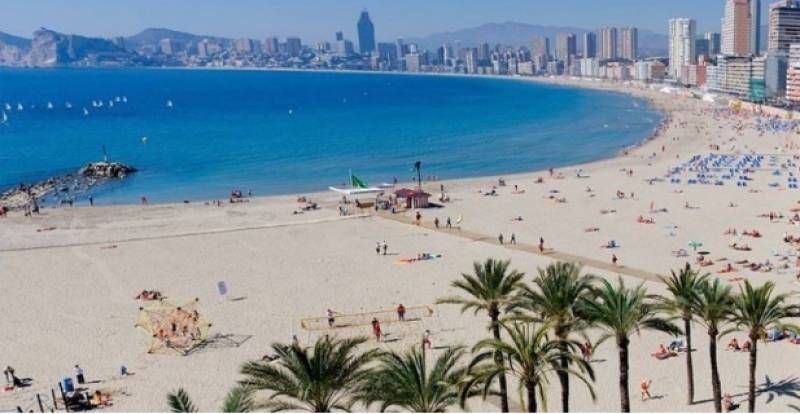 <span style='color:#780948'>ARCHIVED</span> - Benidorm withdraws all its beaches from Blue Flag accreditation process