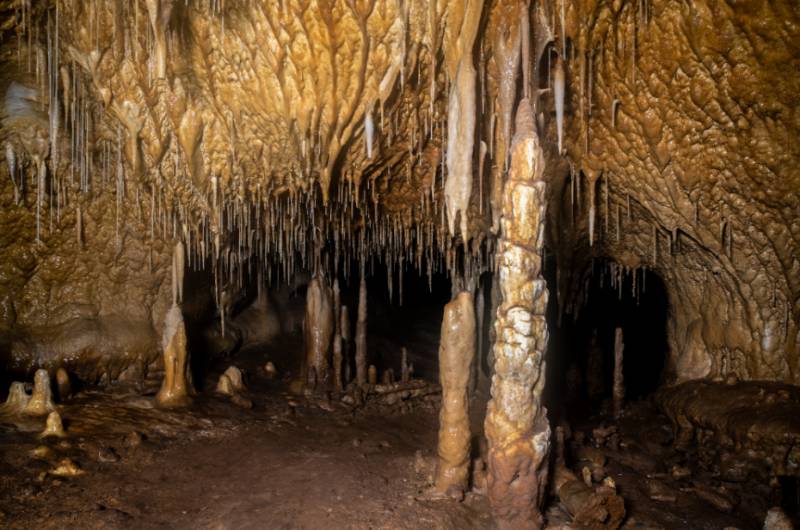 <span style='color:#780948'>ARCHIVED</span> - Paleolithic Cathedral: 1st European evidence of elusive cave bears discovered in Cueva del Arco, Cieza