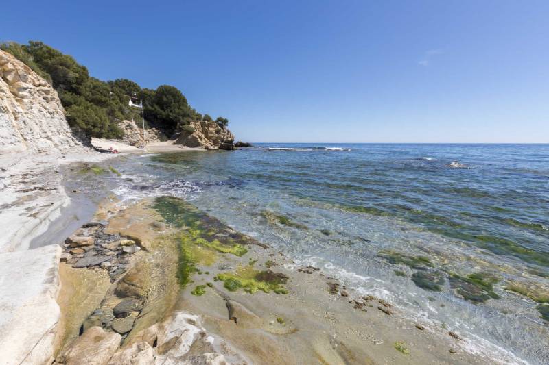 Benissa Ecological Walk: a spectacular trail through coves and cliffs