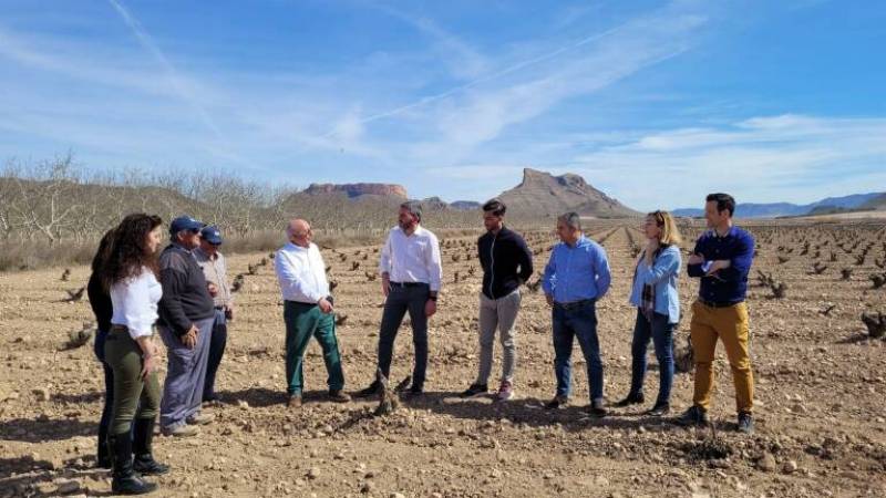 <span style='color:#780948'>ARCHIVED</span> - Murcia invests 1.5 million euros to protect its best and oldest grapevines